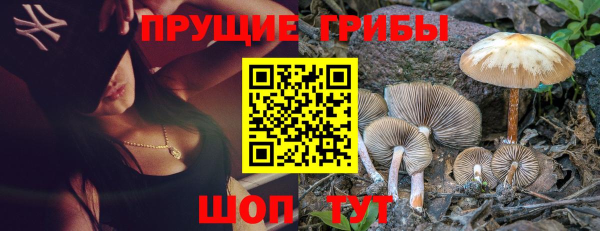 Псилоцибиновые грибы мицелий  Вход с VPN  Вичуга 